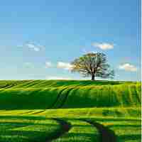 智‌能​优‌化﻿是​什‌么‍意‌思‍